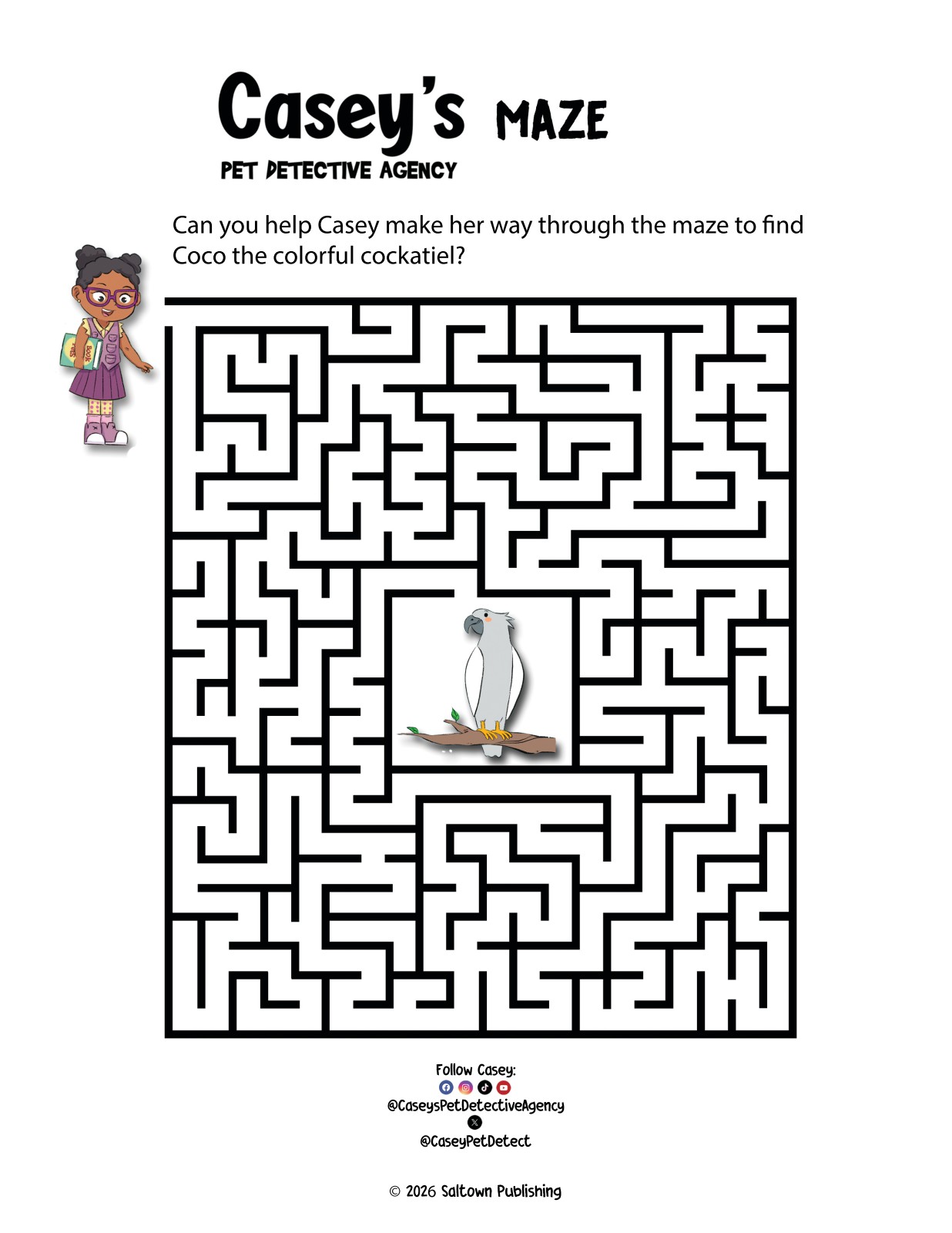 Casey's Maze — Medium